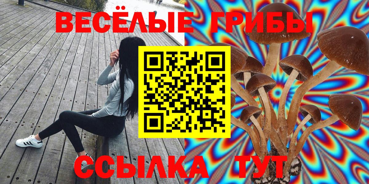 Галлюциногенные грибы GOLDEN TEACHER  Вход с VPN  Тара 